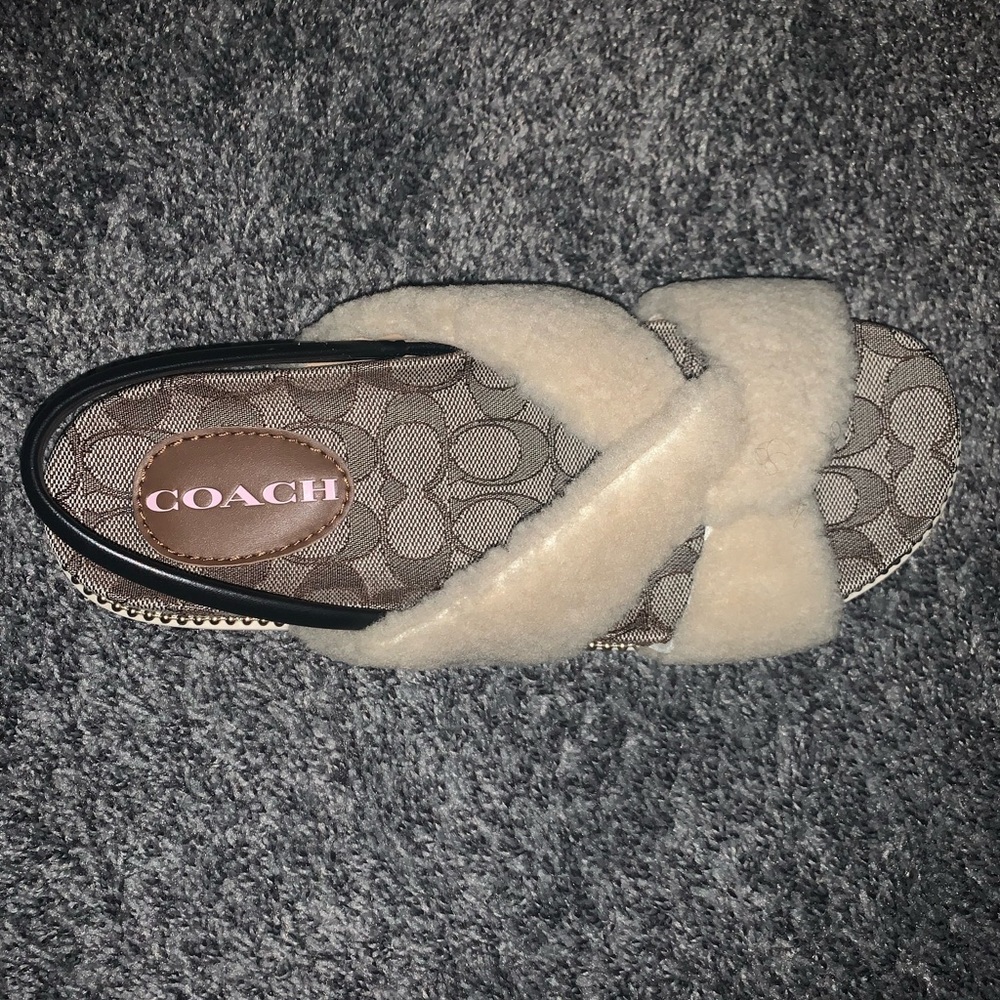 (Coach) Tally Shearl Sandals